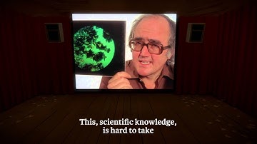 The Witness: Yesterday, Tomorrow and You