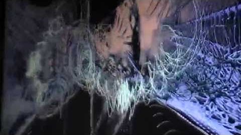 lots of colors that move in time to the music - all different 1 *Photosensitivity Warning*