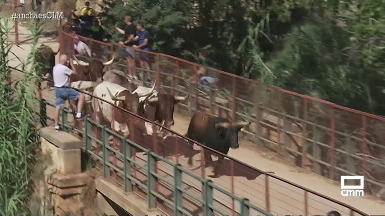 Emoción y buen ambiente en el encierro de Elche de la Sierra | Ancha es Castilla-La Mancha