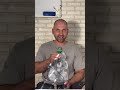 #shorts