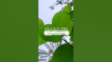 القرآن الكريم بصوت احمد العجمي #احمد_العجمي #القرآن_الكريم #quran #صوت #ليلة_القدر