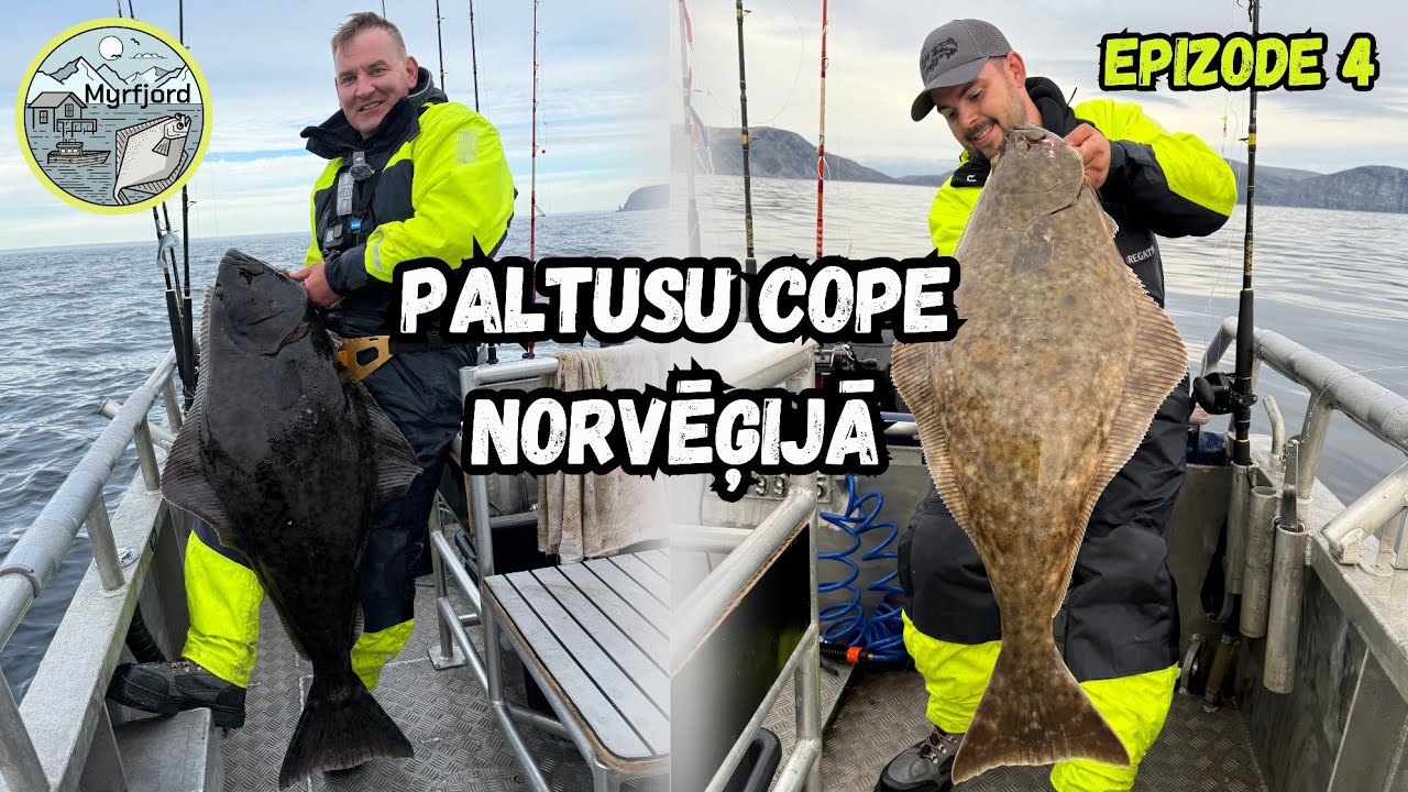 Tā ar zivi nebiju vēl cīnījies! Lielu paltusu makšķerēšana Norvēģijā! Makšķerēšana Myrfjord bāzē!