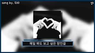 [아지PICK] EXO (엑소) - Tempo