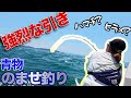 【潮がない日に魚は釣れるのか】突然、強烈な引きが...！？｜前編