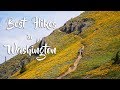 Best Hikes in Washington