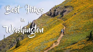 Best Hikes in Washington
