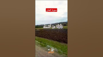 سورة لقمان| الشيخ ياسر الدوسري #quran  #short #islam #islamicstatus #islamic #اكسبلور #shortvideo