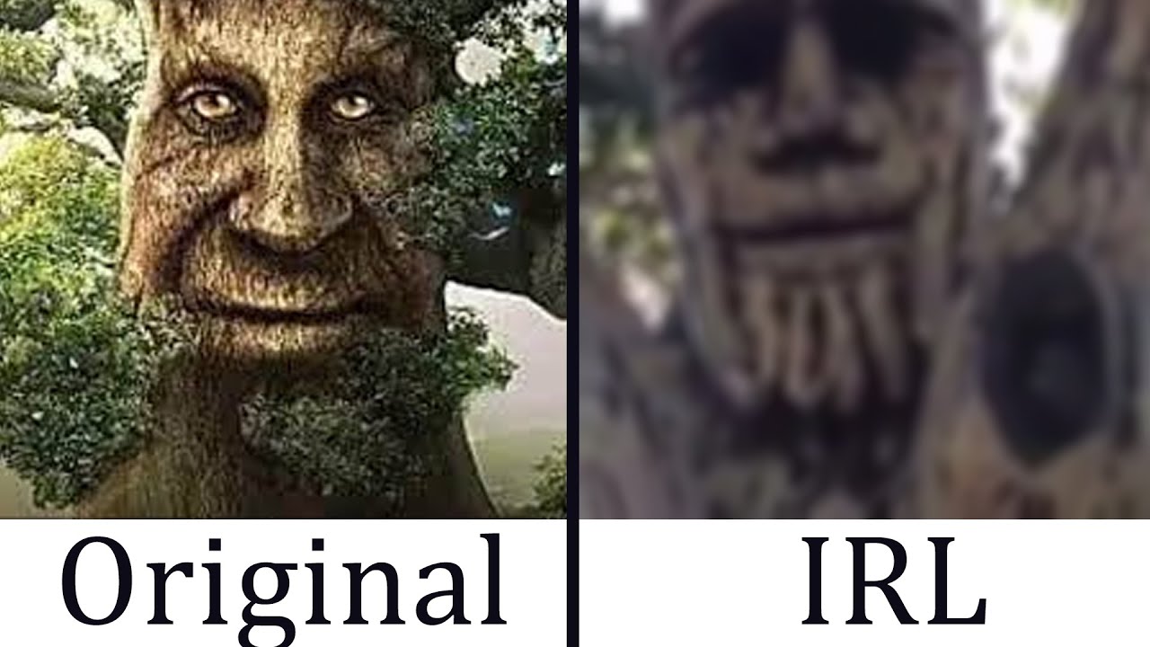 Wise Mystical Tree Meme (Original vs IRL) 