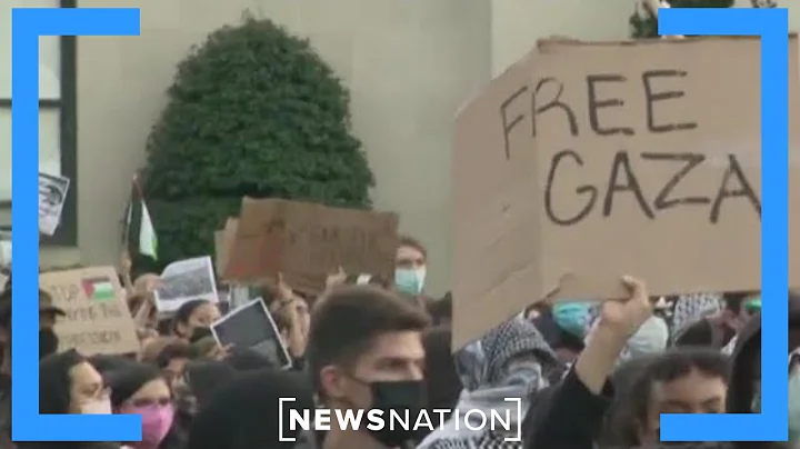 Columbia professors defend students over war in Gaza | NewsNation Now
