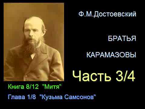 " Братья Карамазовы " - Часть 3/4 - Книга 8/12 - Глава 1/8