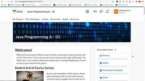 How to check your grades in Brightspace