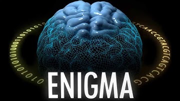 ENIGMA-3 GWAS Protocols | Part 2