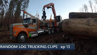Random Log Trucking Clips ep13 by Fourth Over 1,480 views 1 year ago 10 minutes, 51 seconds