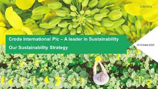 Our Sustainability Strategy