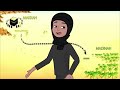 The Hijrah The Migration To Madinah 