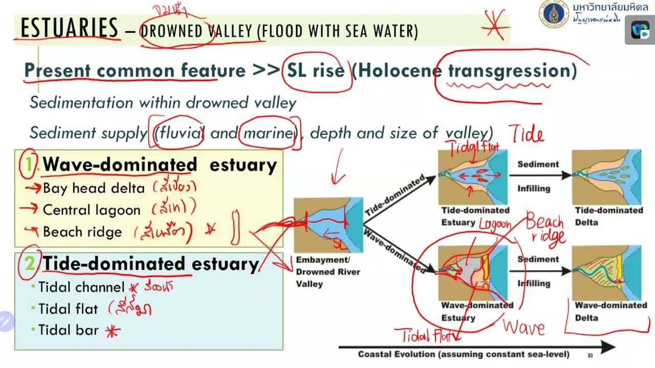 environment อ่านว่า  2022 New  Lecture 25 : estuary depositional environment