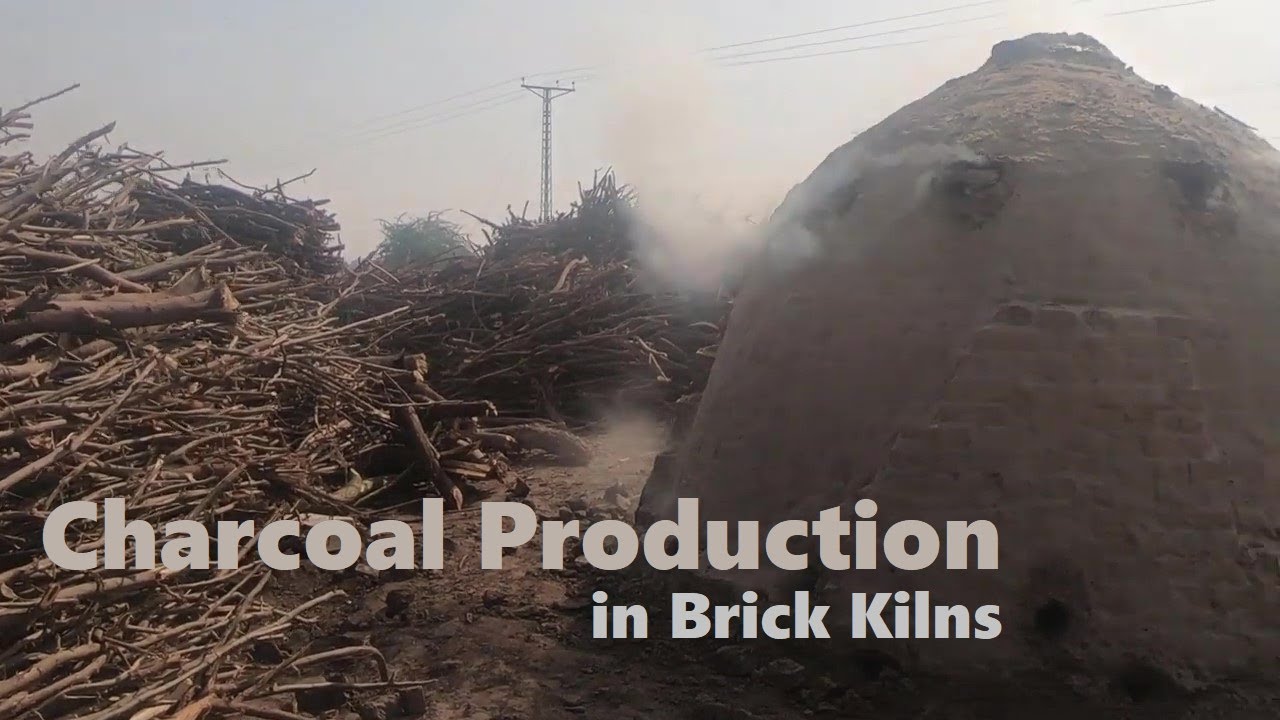 Making Charcoal in Pakistan How to make charcoal YouTube