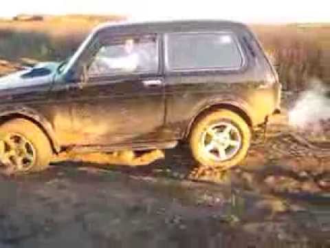 Рыбалка голубая нива