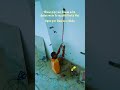 electrician jindagi hai bhai kab kya hoga kisi ko pata nahin chalega