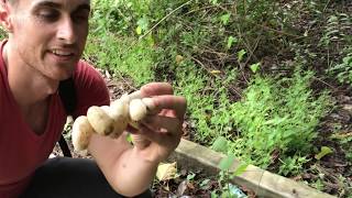 CATCH n Cook! Slingshot hunting for mudskippers in Vietnam! What do they taste like?!?!