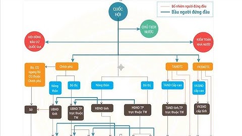 Hướng dẫn học môn luật hiến pháp năm 2024