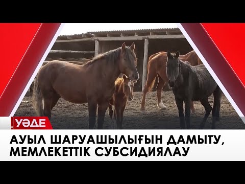 Бейне: Ауыл шаруашылығы авиациясымен күрес