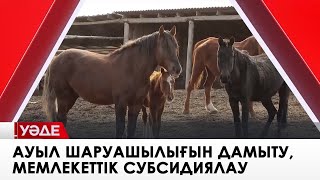 Ауыл шаруашылығын дамыту, мемлекеттік субсидиялау, мал жайылымдары. «Уәде»