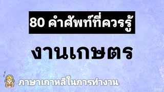 80 คำศัพท์ภาษาเกาหลี | งานเกษตร | ภาษาเกาหลีในการทำงาน | ANNA KOREA