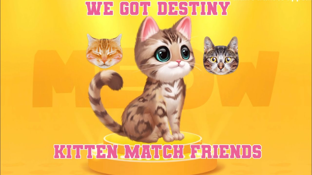 We got a new catkitten match friends YouTube