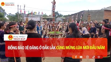Đồng bào Xê Đăng ở Đắk Lắk cúng mừng lúa mới đầu năm | Báo Đại biểu Nhân dân