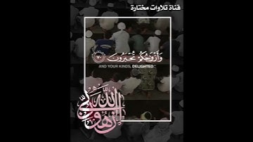 يوسف معاطي حالات واتس اب (الذين آمنوا بآياتنا وكانوا مسلمين..) اللهم بلغنا ليلة القدر 🤲♥️