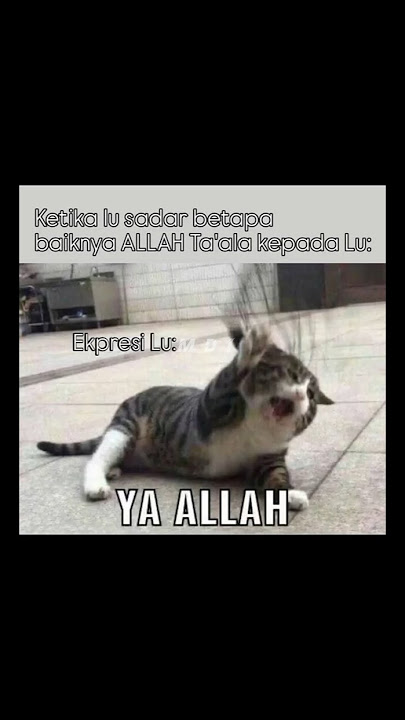 Meme Dakwah #shorts #memedakwahislam #halal #islam #memehalal #memeislami #dakwah #bismillahfyp
