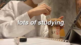 study vlog | lots of studying | Maths tuition class | hk study room | working at cafe