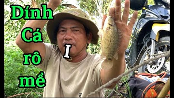 Một ngày đi câu cá giải trí của 2 cha con