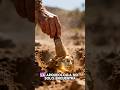 Descubrimientos arqueológicos más raros #curiosidades #historia #curiosidadeshistoricas #misterios