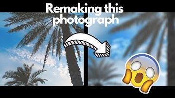 Digital Art Timelapse - Palm Trees | Remaking my photographs into art #01 | Autodesk Sketchbook