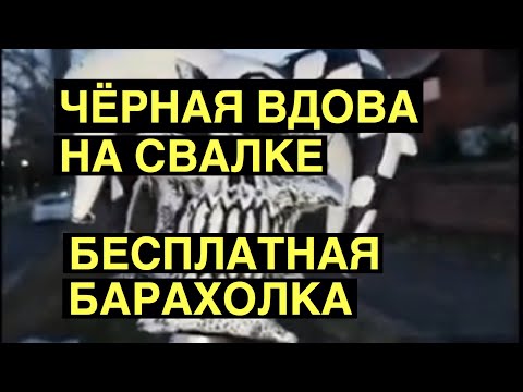 КОШМАР ! УБИЛА ЧЁРНУЮ ВДОВУ ПАУКА ! СВАЛКА В АВСТРАЛИИ ТОННЫ ВЕЩЕЙ БЕСПЛАТНО