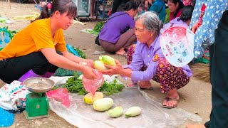 Harvest melons and pick vegetables to sell at the market