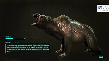 Fallout 4|Vault 81|How to get Curie companion|part 2