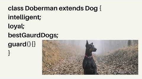 Types of Inheritance in Java