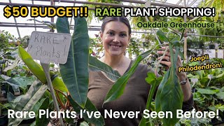 Can I Go RARE Plant Shopping With A $50 BUDGET? Indoor Plant Haul - PLANT PACKED Oakdale Greenhouse