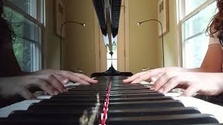 Toccata from Music for Children Opus 65 (Written by Sergi Prokofiev) Performed by Van Eskandari