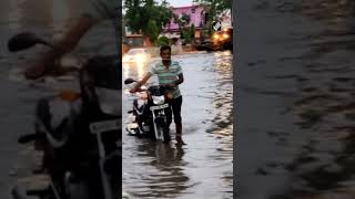 Rajasthan: Sri Ganganagar City reels under severe waterlogging post heavy rainfall