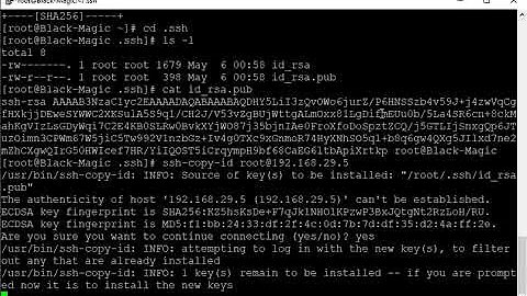 Ansible - Run System Commands on Remote Hosts with Passwordless Authentication through SSH