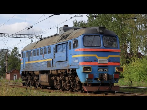 обзор на мою