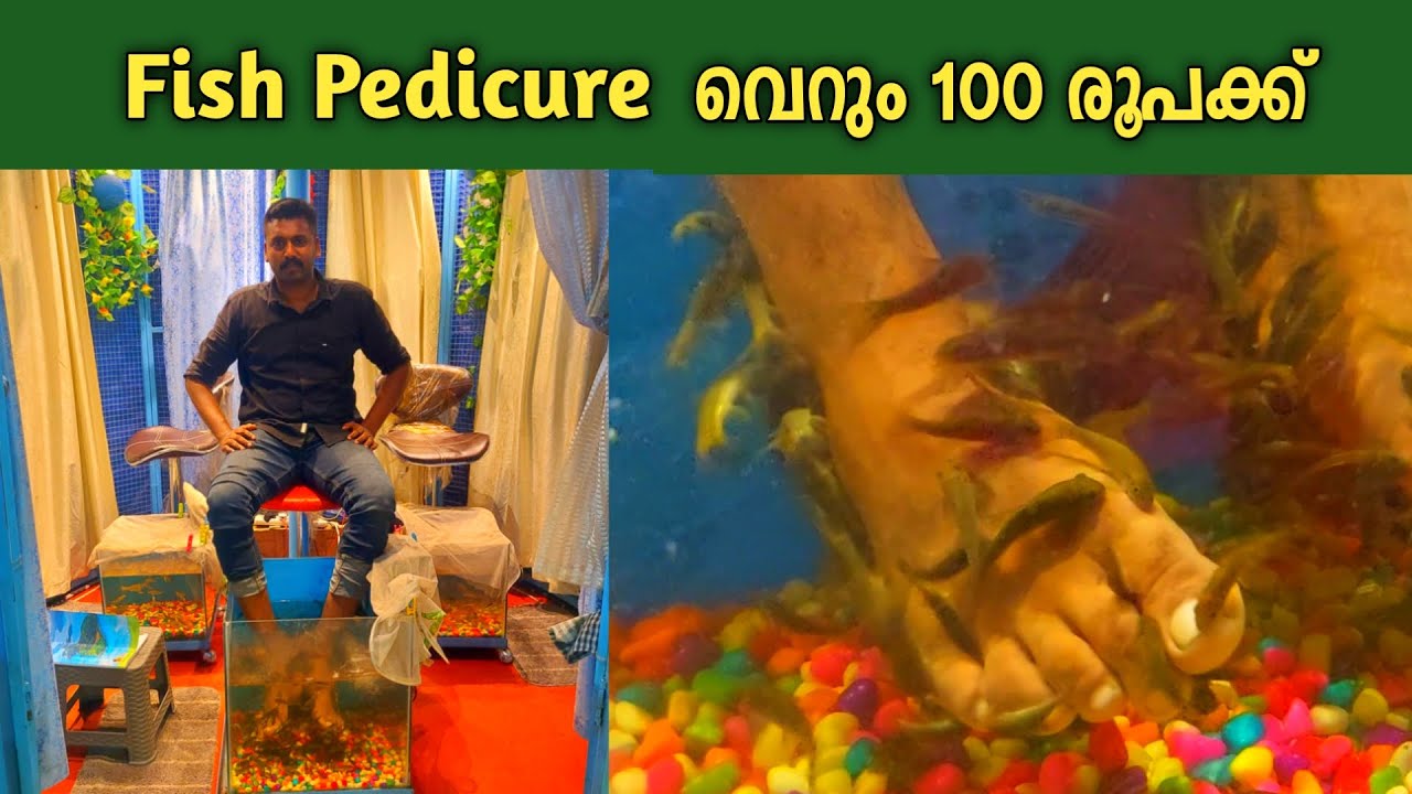 Fish pedicure,fish spa,fish funny video Malayalam YouTube