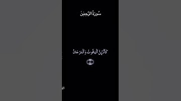 تلاوة عطرة من سورة الرحمن بصوت الشيخ ماهر المعيقلي