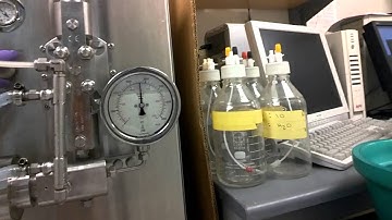 Lysing E.coli Sample on the C3 emulciflex.