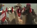 The Ancient Ritual Behind Shearing Vicuña Wool Mp3 Song