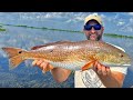 We Caught The Hardest Fighting Fish in the Marsh (CATCH AND COOK)